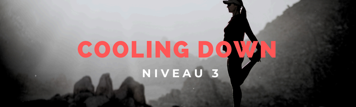fiche image